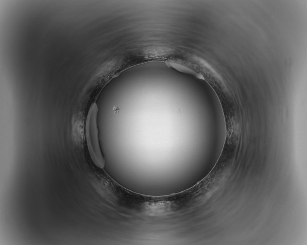 X0000096130452200801181116