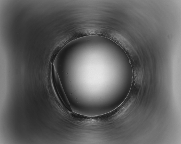 X0000096130453200801181116