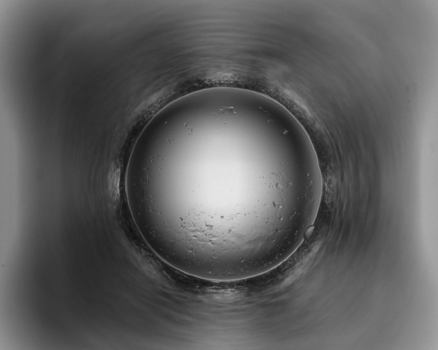 X0000096130454200801181116