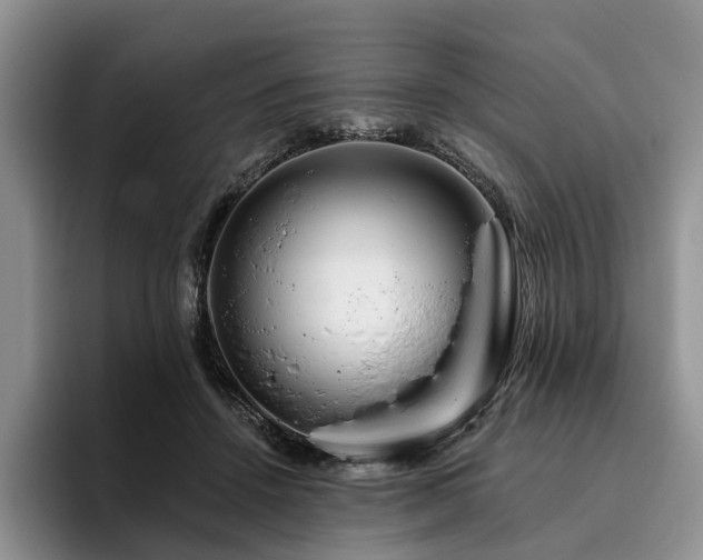 X0000096130456200801181116