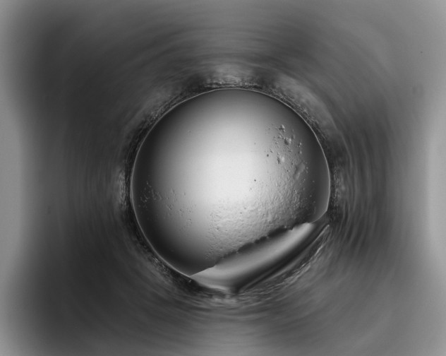 X0000096130457200801181116