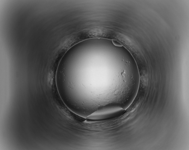 X0000096130458200801181116