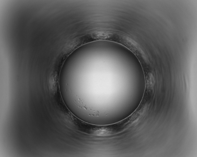 X0000096130460200801181116
