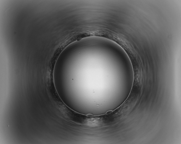 X0000096130461200801181116