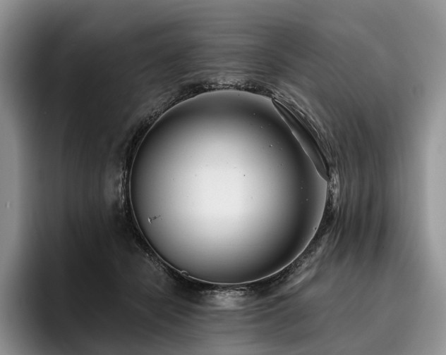 X0000096130462200801181116