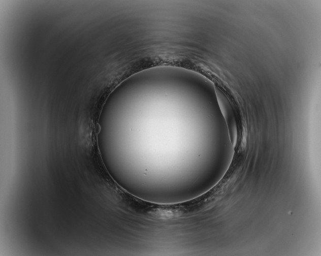 X0000096130464200801181116