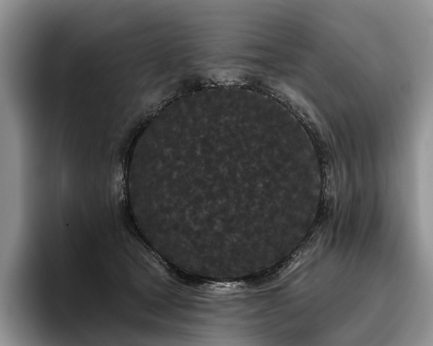 X0000096130465200801181116
