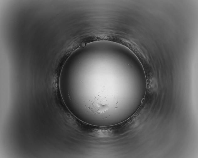 X0000096130466200801181116