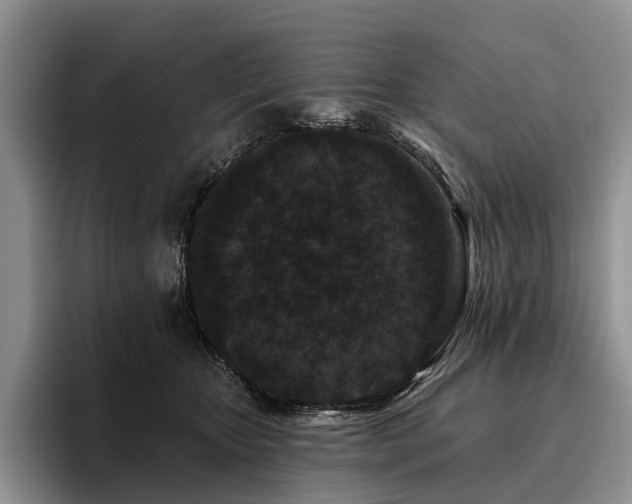 X0000096130467200801181116