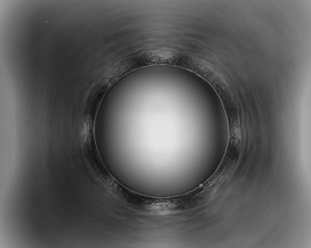 X0000096130468200801181116