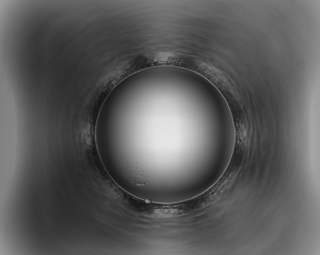 X0000096130470200801181116