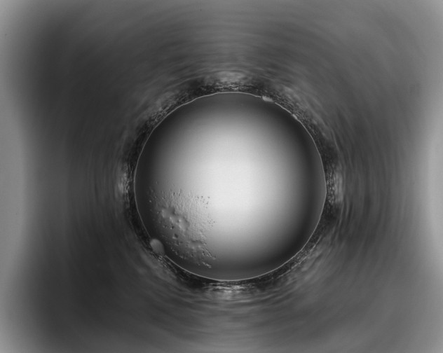 X0000096130472200801181116