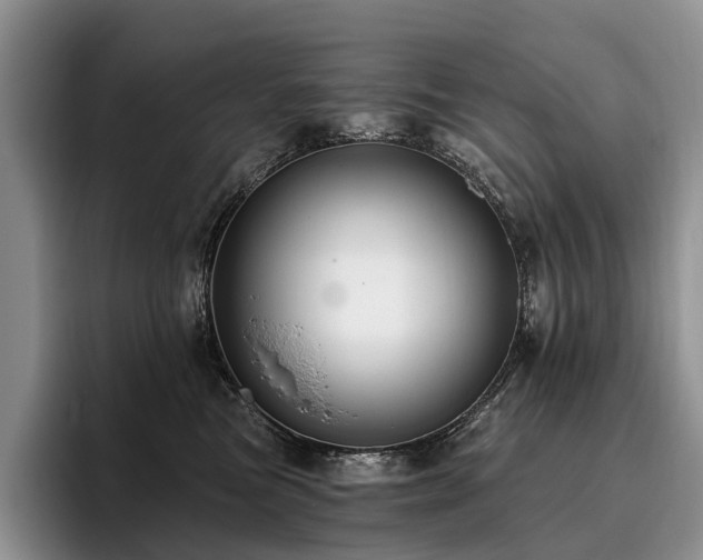 X0000096130473200801181116