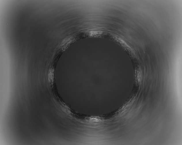 X0000096130475200801181116