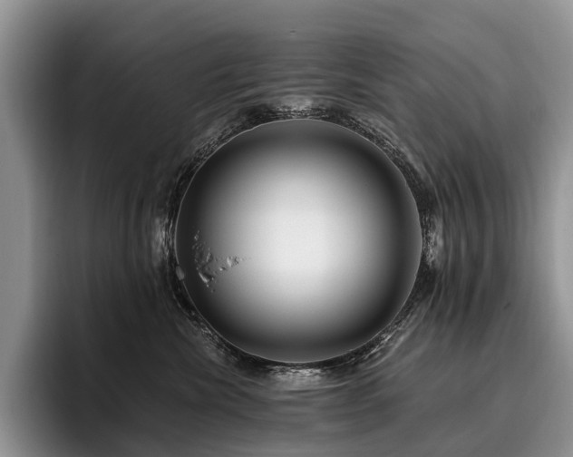 X0000096130476200801181116