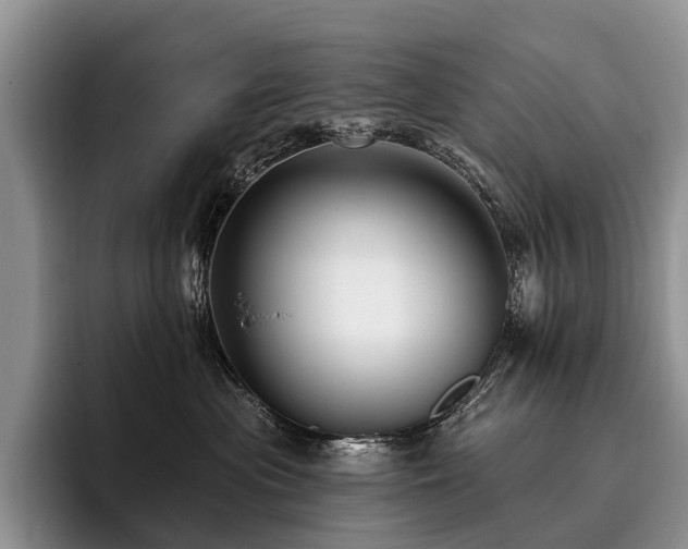 X0000096130477200801181116