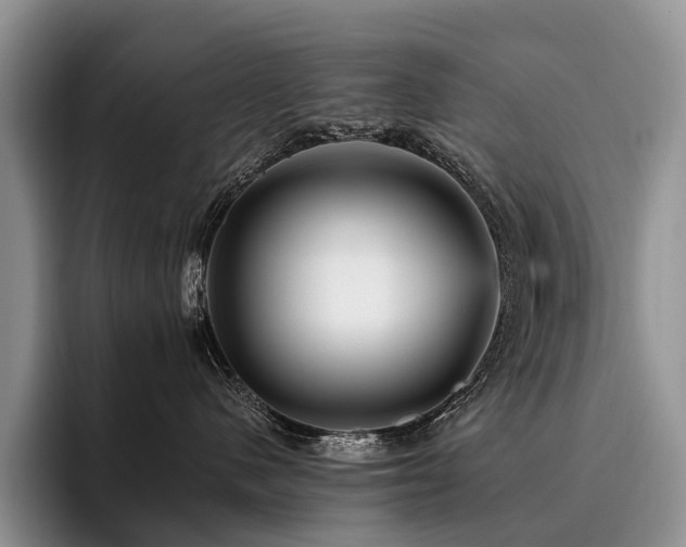 X0000096130480200801181116