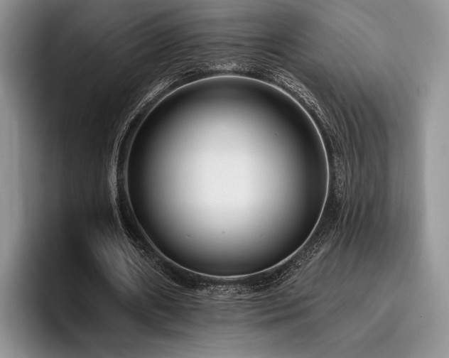 X0000096130482200801181116