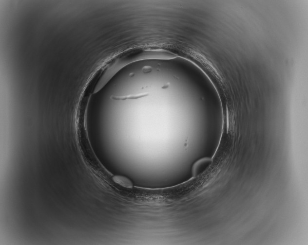 X0000096130483200801181116