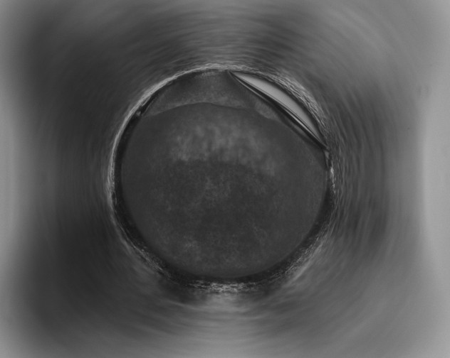 X0000096130484200801181116