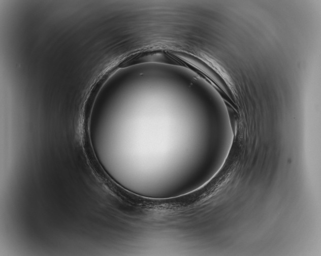 X0000096130485200801181116