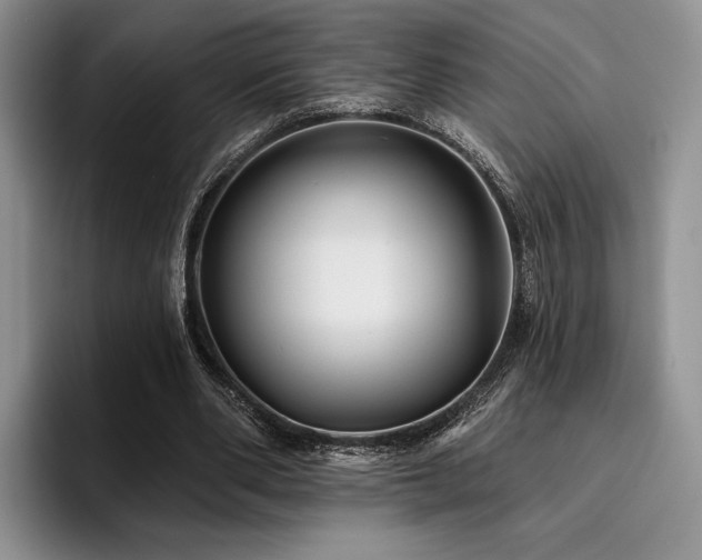 X0000096130486200801181116