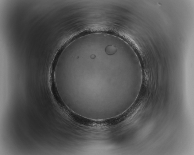 X0000096130487200801181116