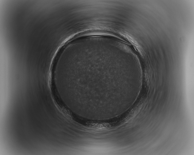 X0000096130488200801181116