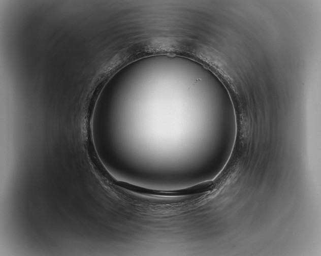 X0000096130489200801181115