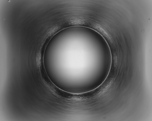 X0000096130490200801181115