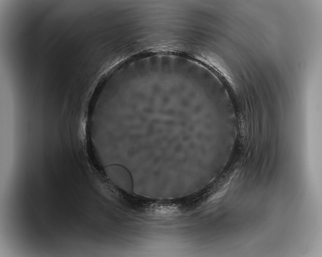 X0000096130491200801181115