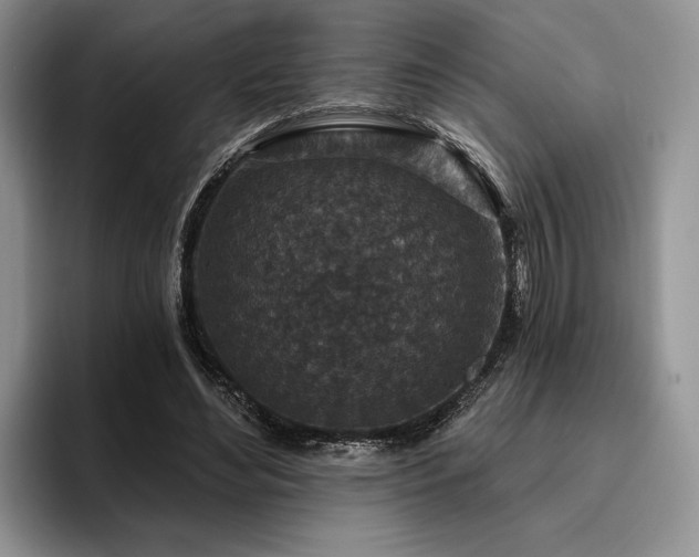 X0000096130492200801181115