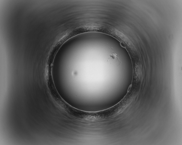 X0000096130494200801181115