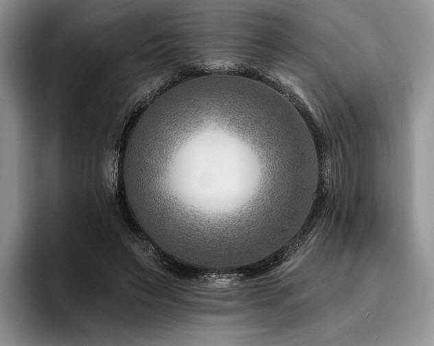 X0000096130495200801181115