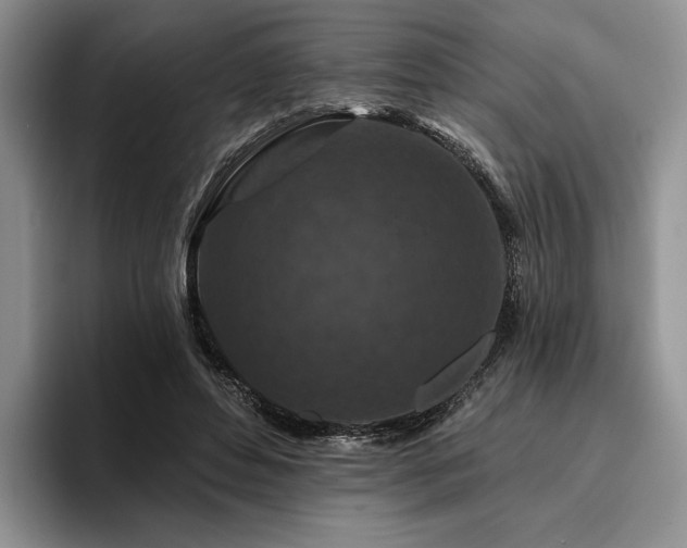 X0000096130496200801181115