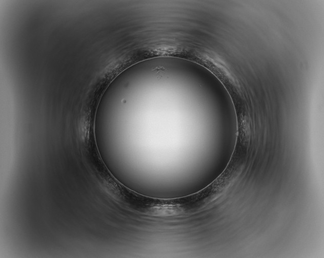 X0000096130499200801181115