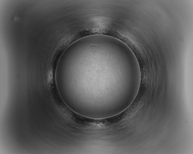 X0000096130502200801181115
