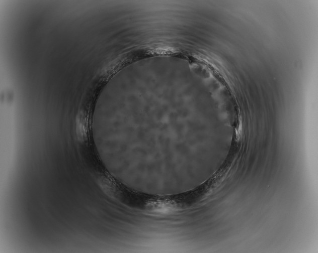 X0000096130503200801181115