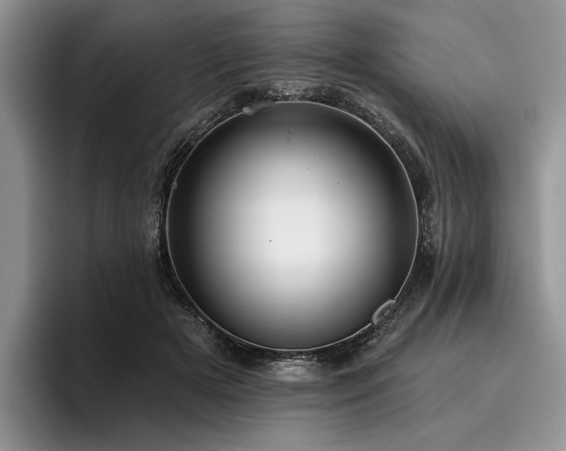 X0000096130505200801181115