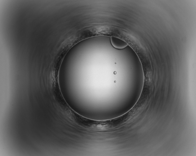 X0000096130506200801181115