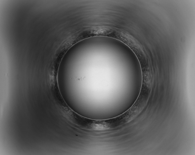 X0000096130510200801181115