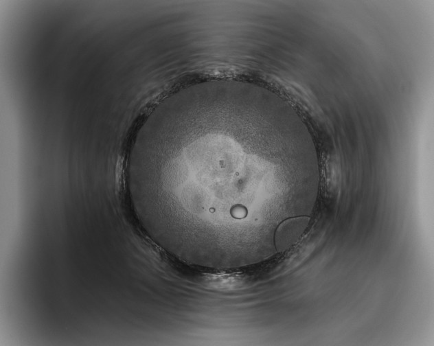 X0000096130511200801181115