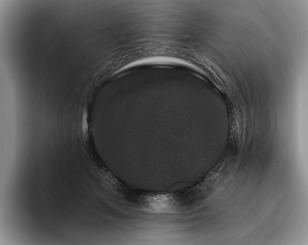 X0000096130513200801181115