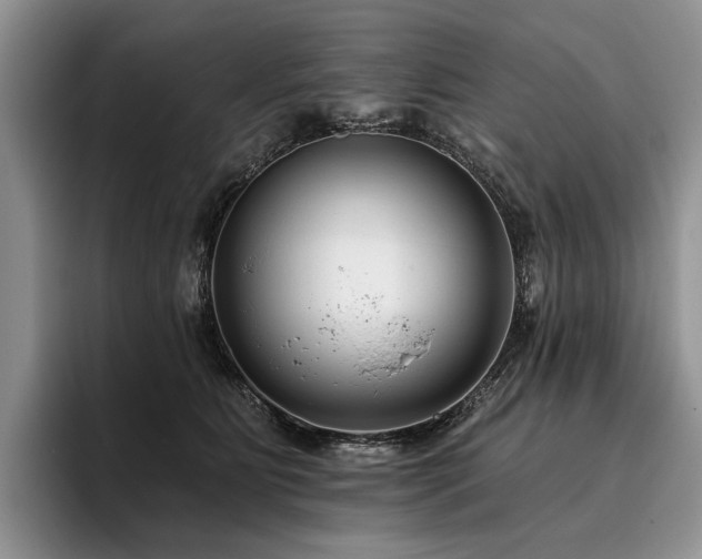 X0000096130515200801181115