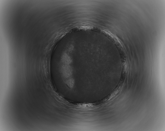 X0000096130517200801181115