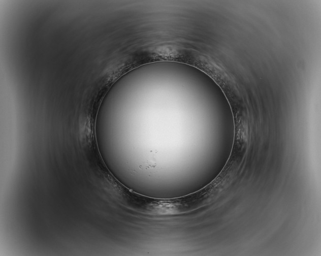 X0000096130518200801181115