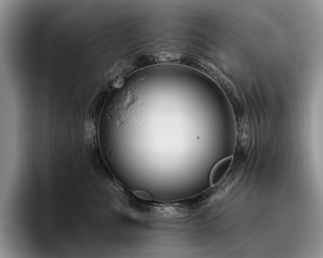 X0000096130523200801181115