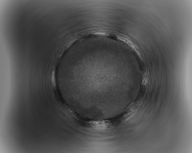 X0000096130524200801181115