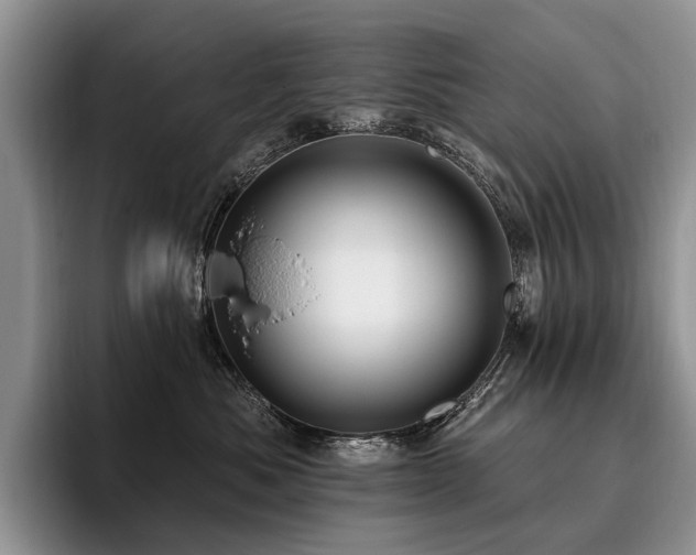X0000096130525200801181115