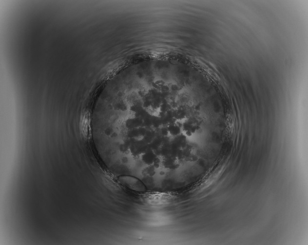 X0000096130527200801181115
